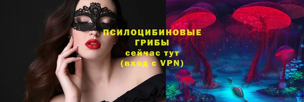молекула духа Няндома