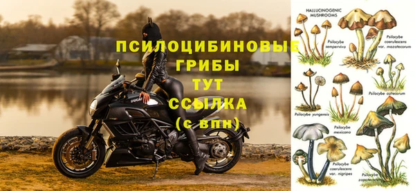 Альфа ПВП Новодвинск
