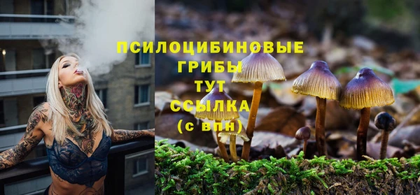 метадон Нязепетровск