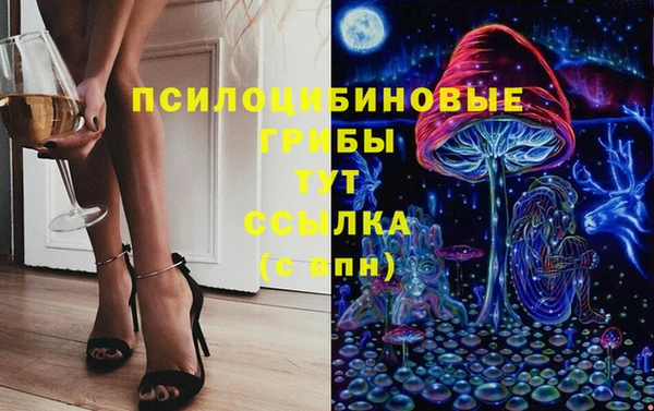 мдма Новозыбков